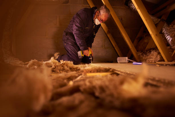 Types of Insulation We Offer in Brookwood, AL